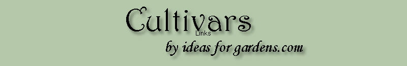Links